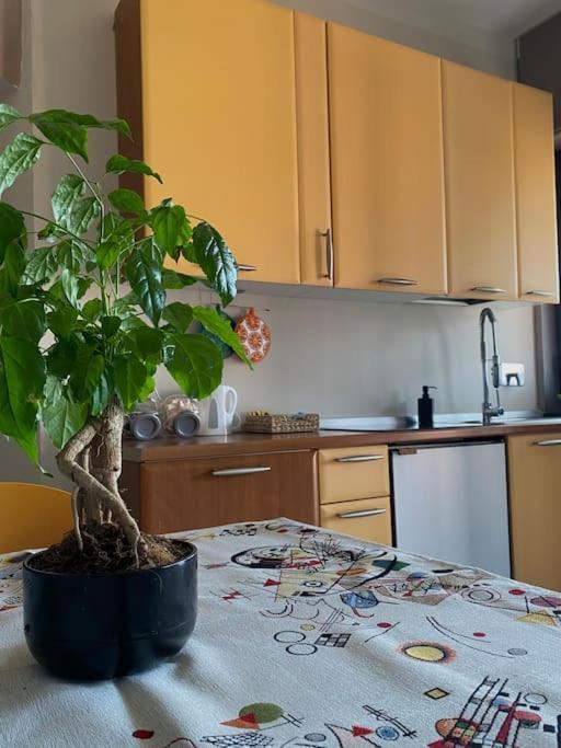 La Ramble Apartment Turin Exterior photo